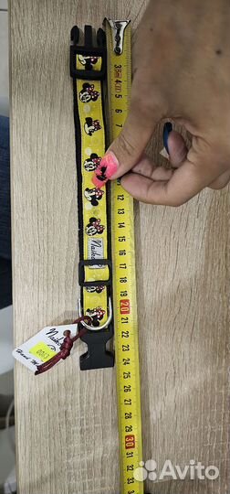 Ошейники и поводок-рулетка