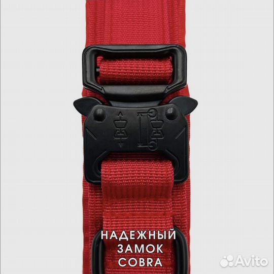 Ошейник новый