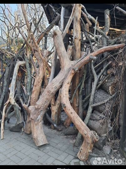 Стволы ветки веточки коряги коряжки палки корелиус