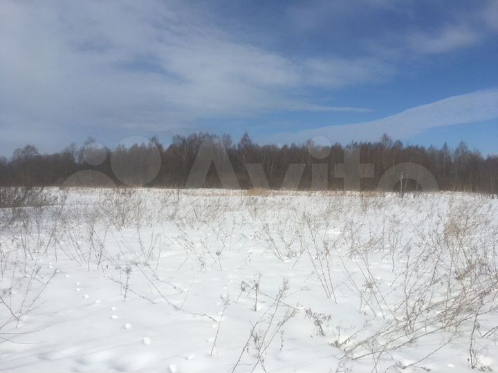 Участок 20,5 сот. (СНТ, ДНП)