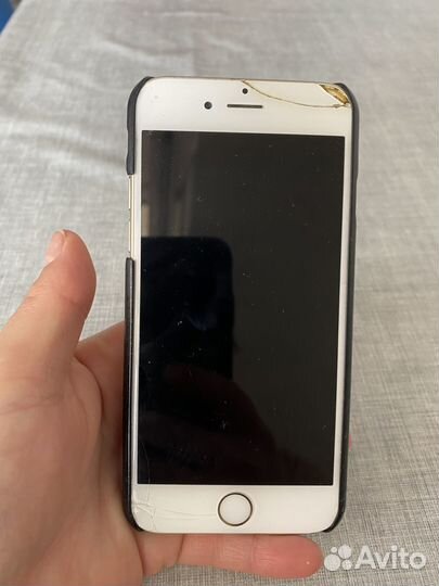 iPhone 6