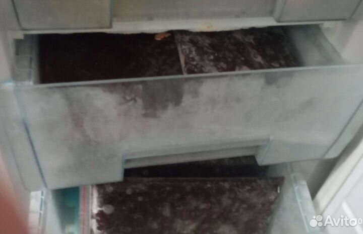 Мотыль заморозка