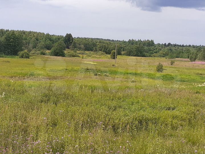 Участок 1,4 га (ИЖС)