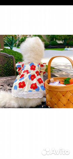 Платье для собачки и кошечки