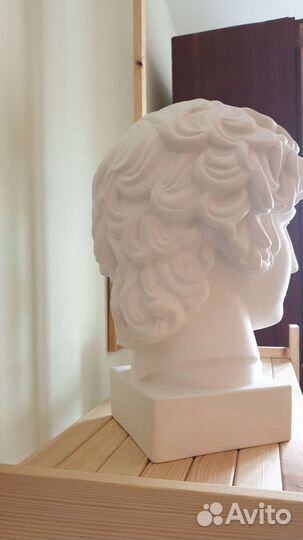 Гипсовая голова