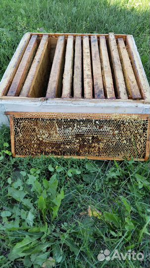 Сушь рамки для пчел