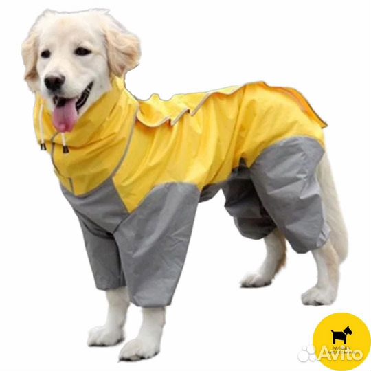 Дождевики для собак. Одежда и обувь для собак