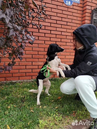 Совсем крошка