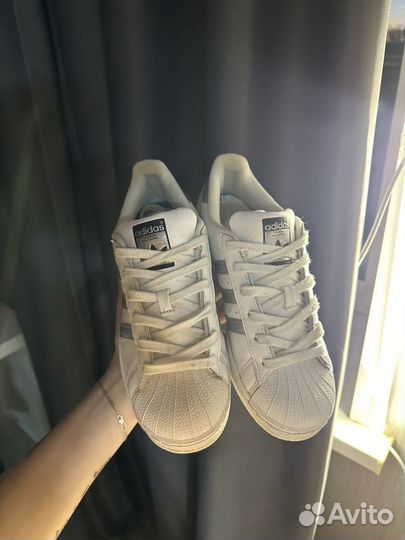 Кроссовки adidas superstar оригинал