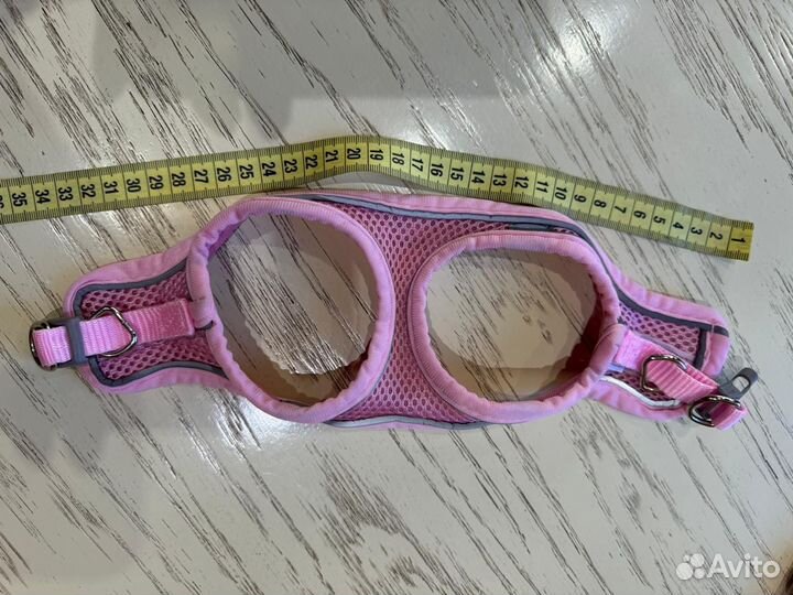 Шлейка и носки для собак мелких пород