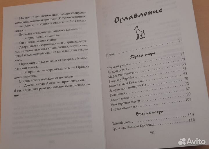 Книга «Приключения тигрового кота»