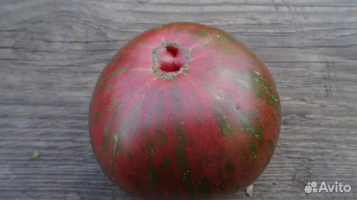 Семена томатов серия гномы