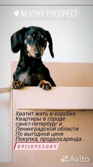 Да еще один риэлтор.но почитай