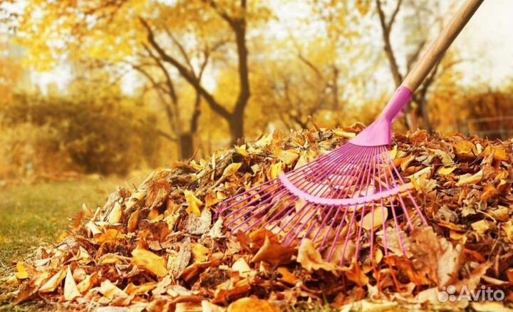 Уборка листвы с вывозом