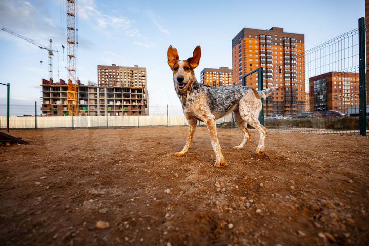 1-к. квартира, 35,4 м², 18/18 эт.