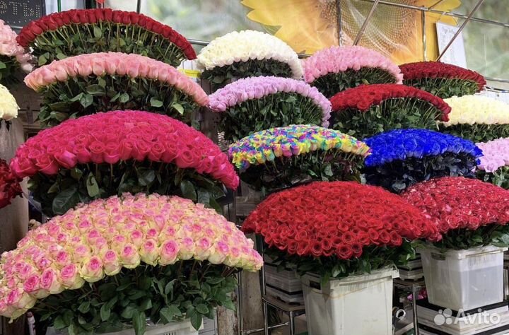 Розы,Тюльпаны,Магазин склад,опт