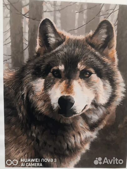 Картины по номерам