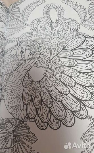 Три новые Раскраски антистресс для взрослых