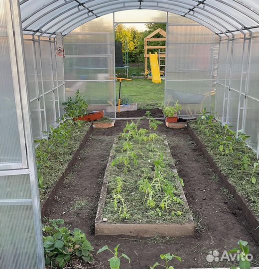 Теплица 