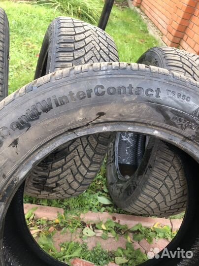 Continental ContiWinterContact TS 850 205/55 R16