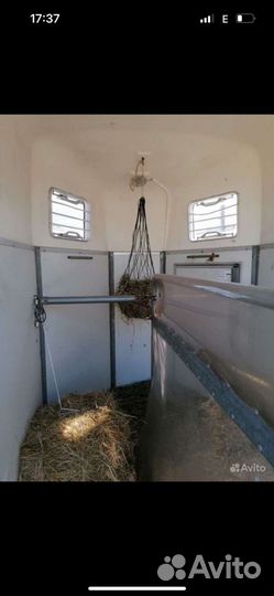 Перевозка лошадей