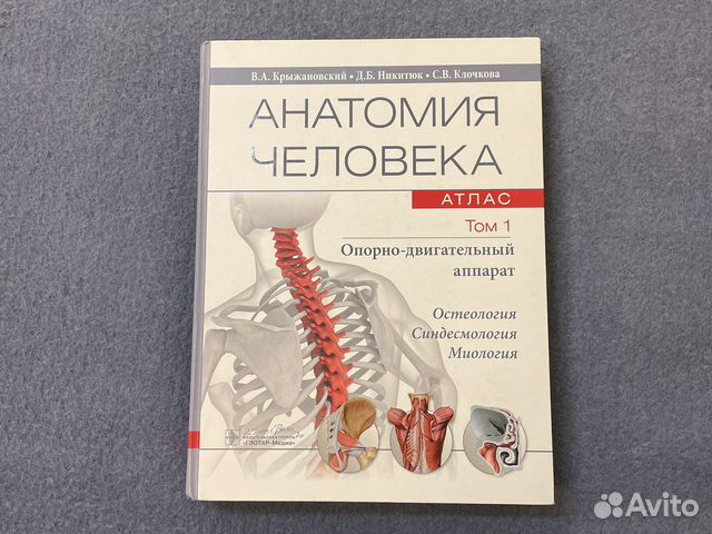 Атлас.Анатомия Человека