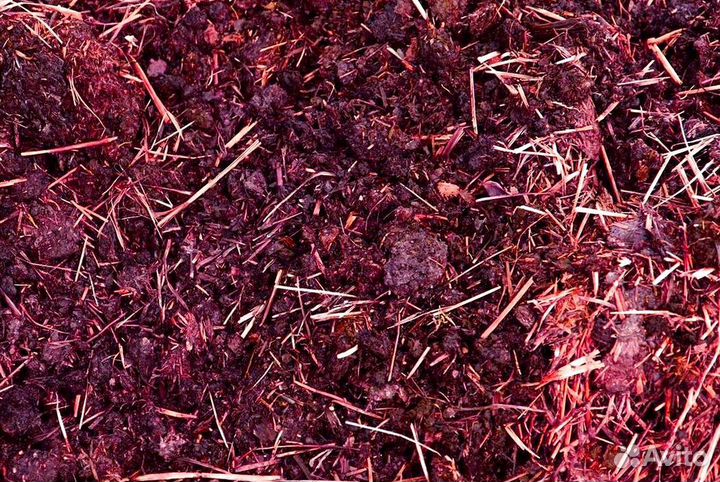 Чернозем, навоз с доставкой. Газель 2 тонны