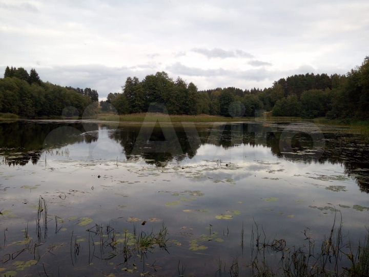 Участок 1,91 га (ИЖС)