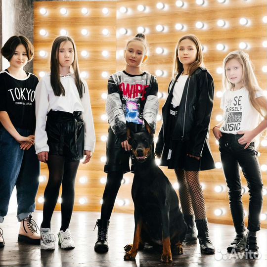 Доберман для фотосессии, Казань