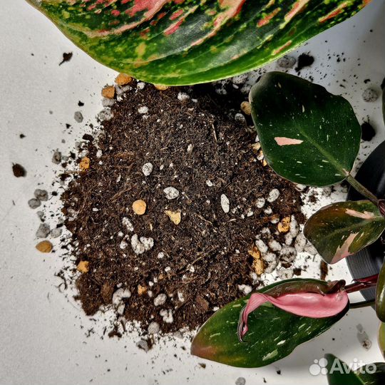 Универсальный грунт для комнатных растений