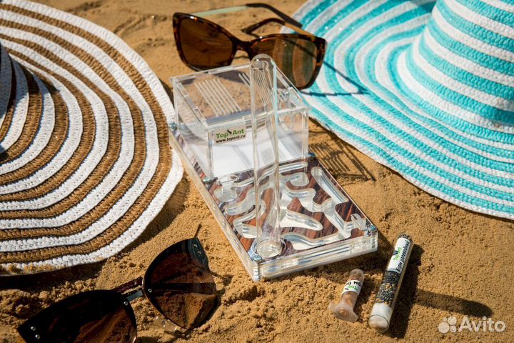 Ферма с муравьями / Формикарий