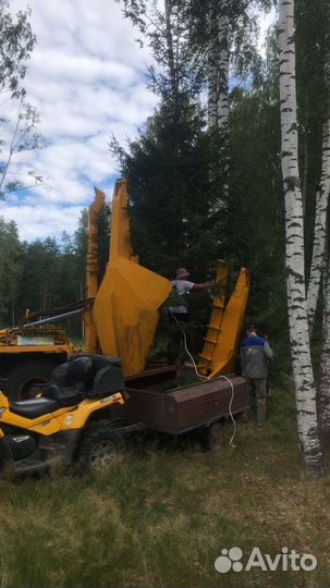 Пересадка деревьев