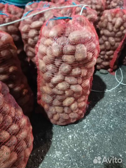 Продам картофель оптом