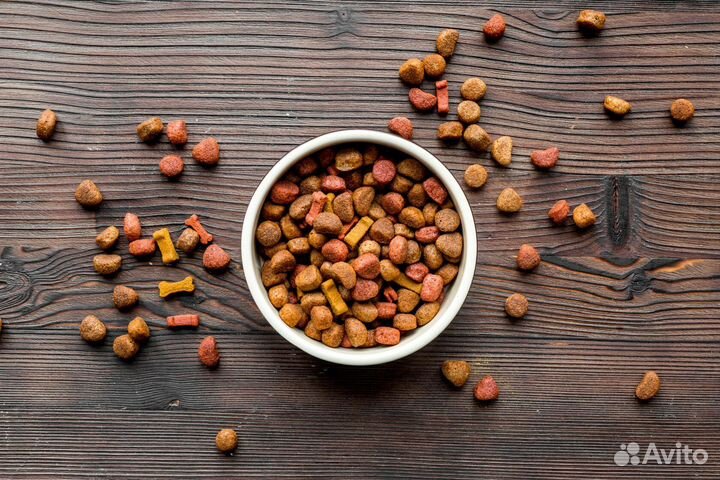 Сухой корм для собак