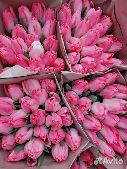 Тюльпаны к 8 марта