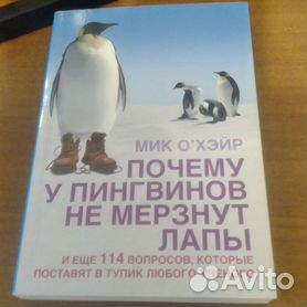 Почему у пингвинов не мерзнут лапы, когда стоят на снегу в мороз?