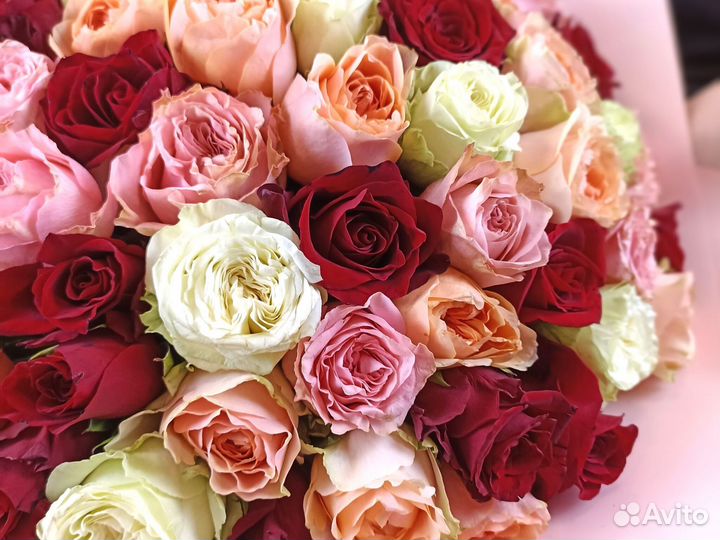 Розы Цветы Букеты 25 51 101