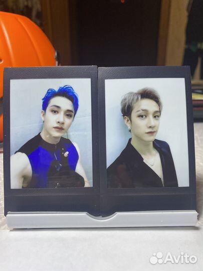 Полароид SKZ