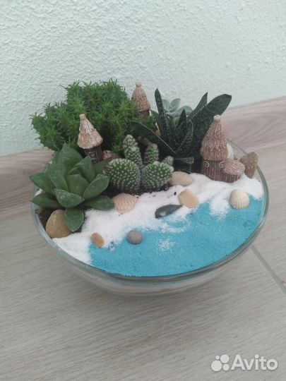 Композиции из суккулентов