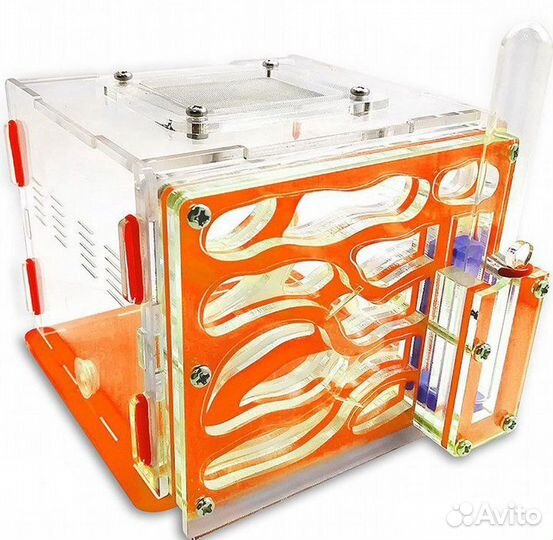 Муравьиные фермы + колонии Жнецов + Доставка