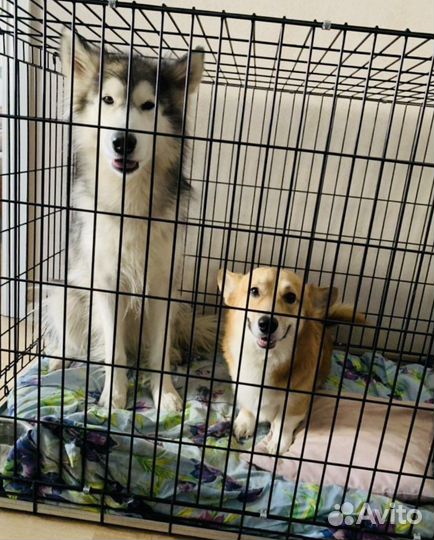 Клетка для животных