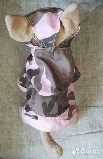 Собачка Chi Chi Love чичилав