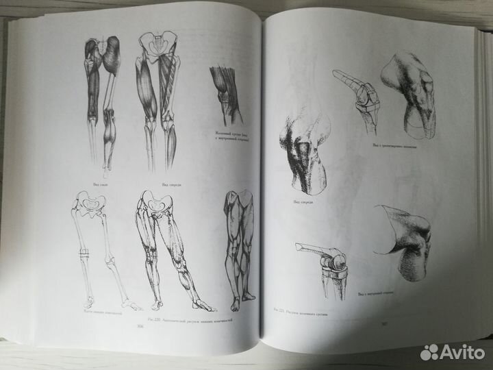 Книга Основы учебного академического рисунка Н.Ли