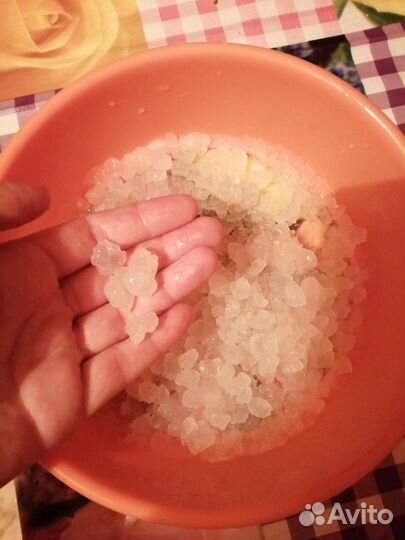 Чайный, молочный грибы, морской рис