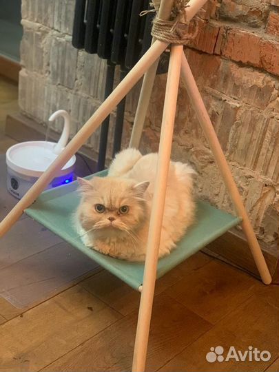 Домик лежанка для кошки и собаки