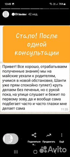 Дрессировка собак передержка собак кинолог