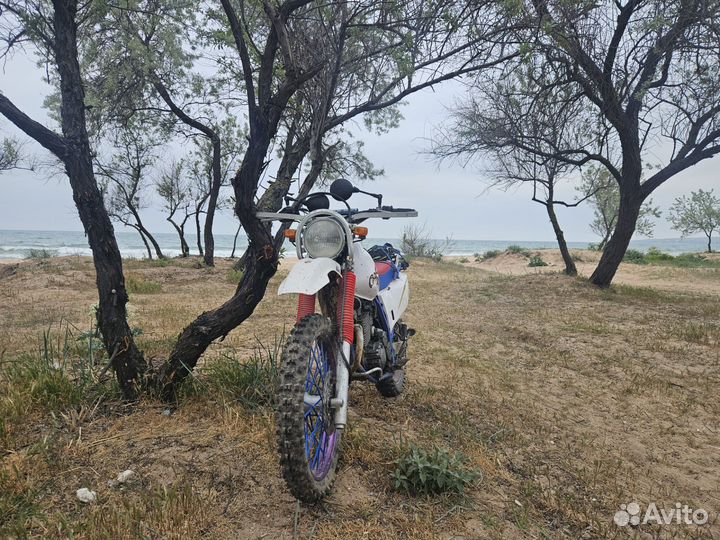 Yamaha TTR 250 Raid