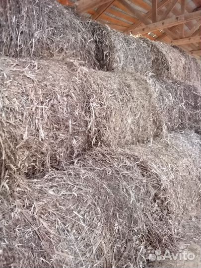 Продам сено в рулонах