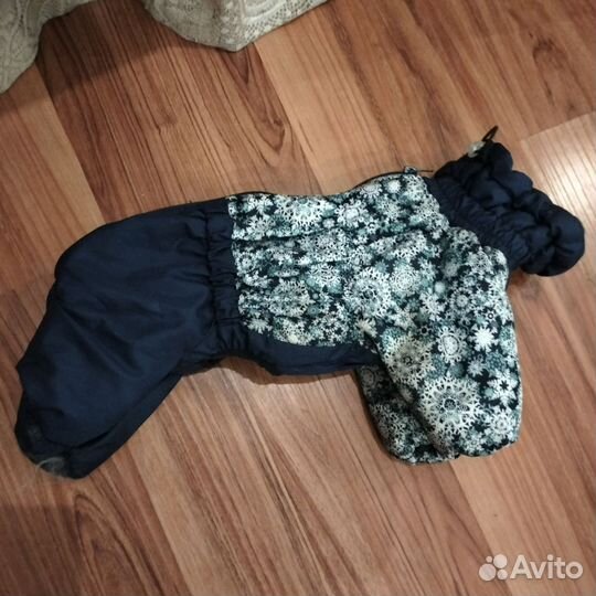 Одежда для маленьких собак