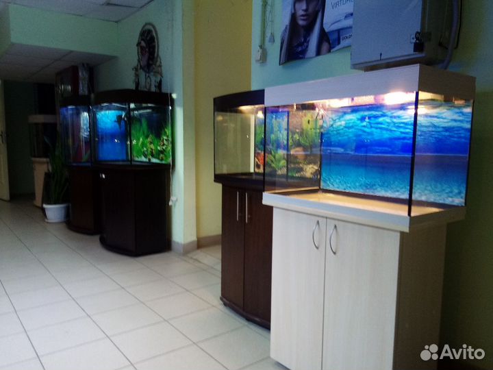 Аквариум100 свет, биофильтр, тумба, фон